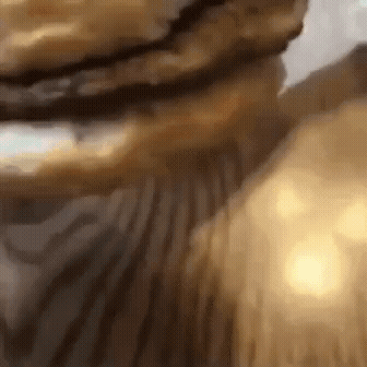 [Image: kisa-s-burgerom.gif]
